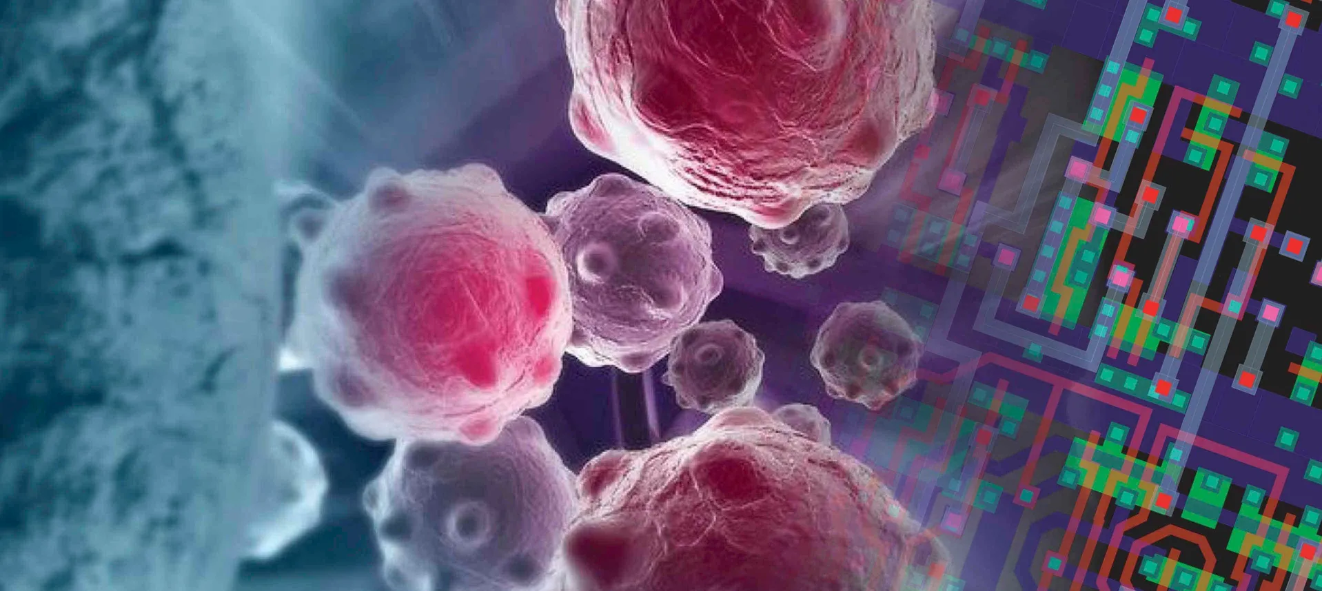 AI &amp; Cancer