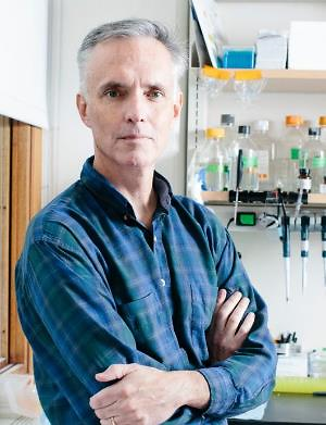 Professor James J. Collins, PhD