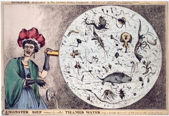 The ‘germ theory’ of disease