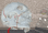 3D image of skull using CT data