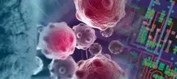 AI &amp; Cancer