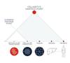 Cellarity vantage point